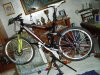IMGP0310.jpg
