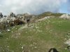 monte scuderi 12 ott 2008 010.jpg