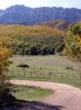 PA120004.jpg