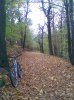 FOTO_4.jpg