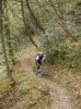 Martel nel bosc.JPG