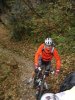 Nippo.JPG