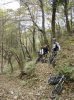 stanchi nel bosco.JPG