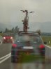 labicivola.jpg