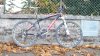 100_0641.jpg