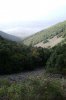 DSC01436.jpg