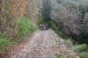 DSC01439.jpg