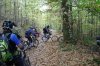 DSC01445.jpg