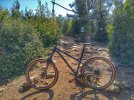 20220419_103823_HDR-01.jpeg