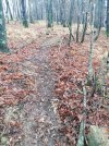 IMG-20220205-WA0001.jpg