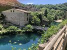 IMG_8830.jpeg