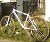 bici_154.jpg