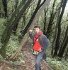 pinzano_albero_989.jpg