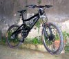 bullit_616.jpg