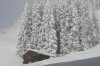 huette_014_217.jpg