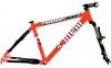 cinelli_freedom_rider_486.jpg