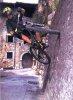 fr4_721.jpg