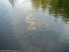 55-bike-diving.jpg