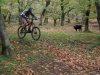 DSCN4915.jpg