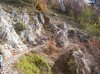 100_0533.jpg