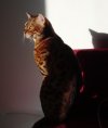 IMG-20201113-WA0006.jpg
