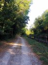 20220710_074956.jpg
