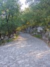 20220710_083859.jpg
