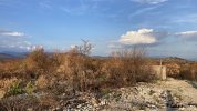 IMG_E1396.JPG