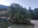 IMG20220823081944.jpg