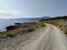 IMG_20220825_092657.jpg