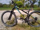 Dartmoor Primal 29