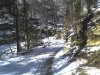27-11-08_1100.jpg