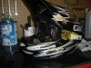 DSC05277.jpg