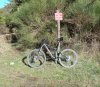 DSC04684.jpg