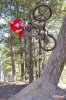 dirt jump.jpg