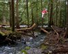 creek[1].jpg