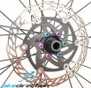 viti-titanio-colorate-dischi-Bike Direction.jpg