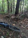 20221012_102608.jpg