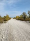 E4FF4CFB-B615-425D-A5C2-3E857B40F593.jpeg