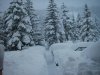 3 15 12 2008 Che nevicata ore 8 30 004.jpg