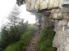 DSC02483.jpg