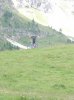 Immagine 025.jpg
