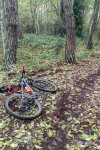 IMG_20221120_104522.jpg