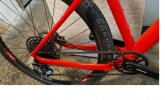 xc120 ..jpg