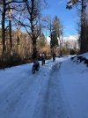 FB_IMG_1671810665822.jpg