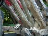 finale ligure 16'06'07 095.jpg