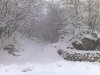 01012009084.jpg