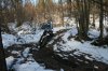 n1445121419_30182619_5631.jpg