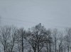 DSCN0170.1.jpg