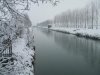 DSCF4338.jpg